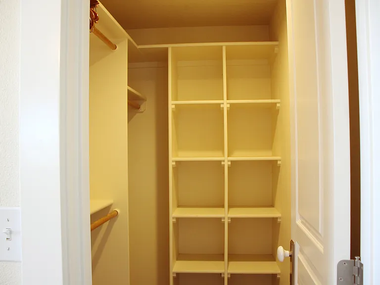Bedroom 1 - walk-in closet