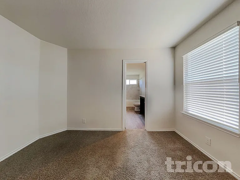 15406 Shortwing — Photo 22