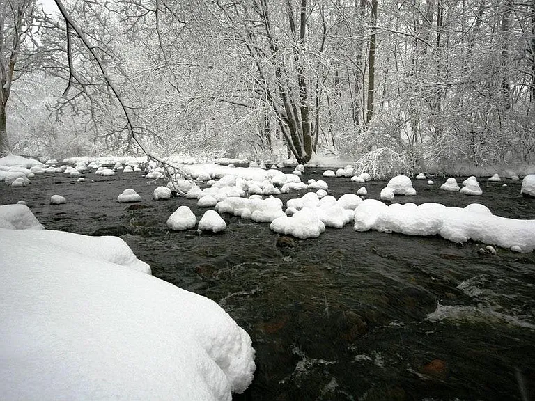 Beaverbrook reservation behind the hiouse in winter