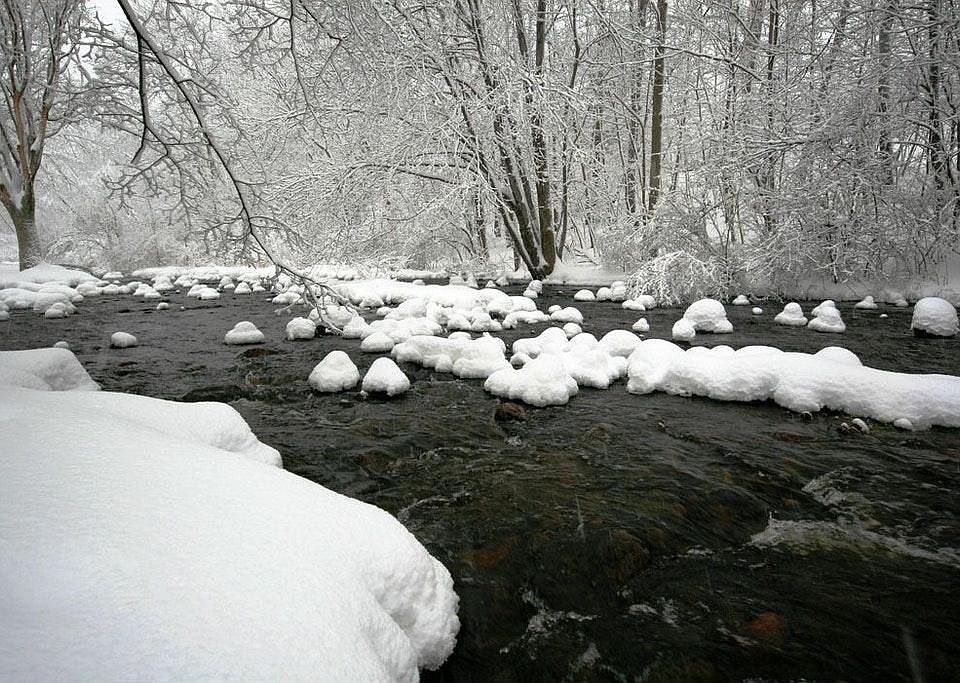 Beaverbrook reservation behind the hiouse in winter