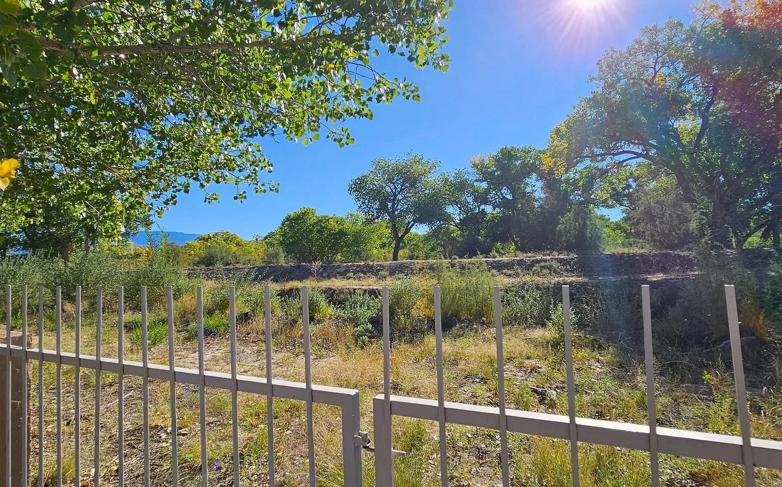 3605 Calle Oveja Ct NW — Photo 1
