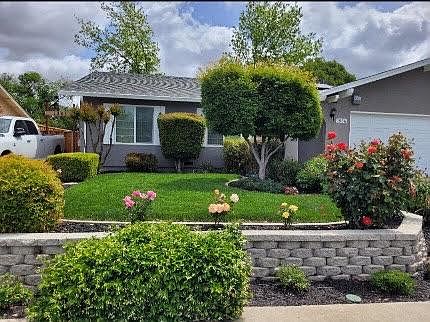 Landscaped front yard maintained by gardener.