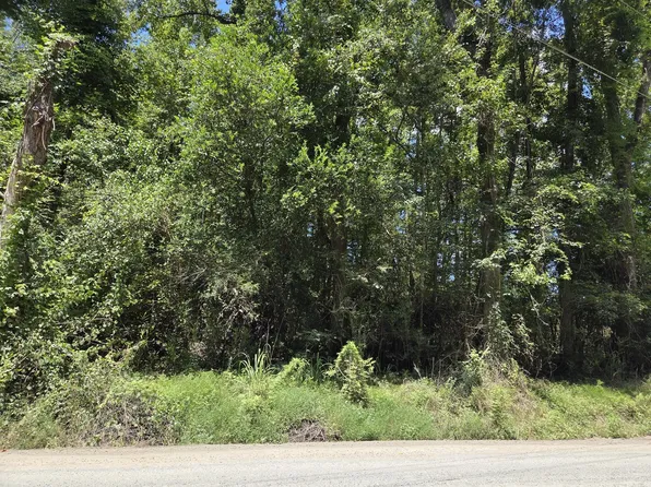 6 Hill Branch Rd, Ridgeville, SC 29472