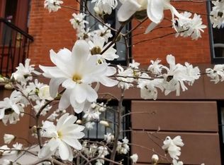 38 Tompkins Pl, Brooklyn, NY 11231