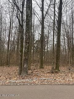 2nd image of Woodland Lake Dr Lot 257