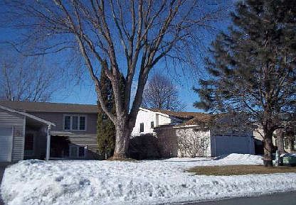 2nd image of 4241 Braddock Trl