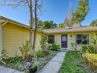 1355 Amsterdam Ct, Colorado Springs, CO, 80907