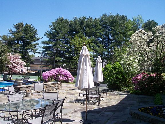 Patio-Outdoor Dining-Swimming