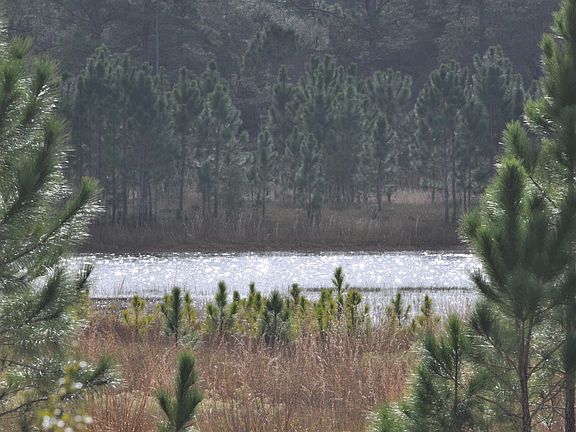 this is the lake in the back