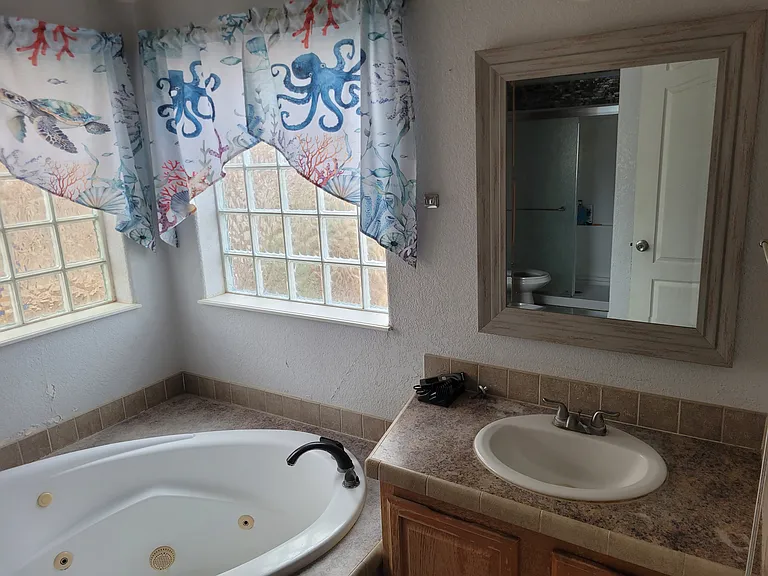 10450 S Rhyolite Ave — Photo 10