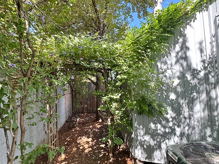2509 Garfield Ct — Photo 14