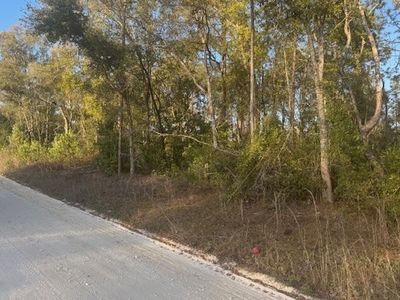 Tbd 43rd Dr, Lake City, FL, 32024