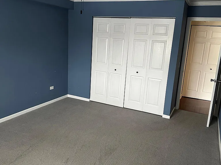 2424 E Oakton St #2C — Photo 9
