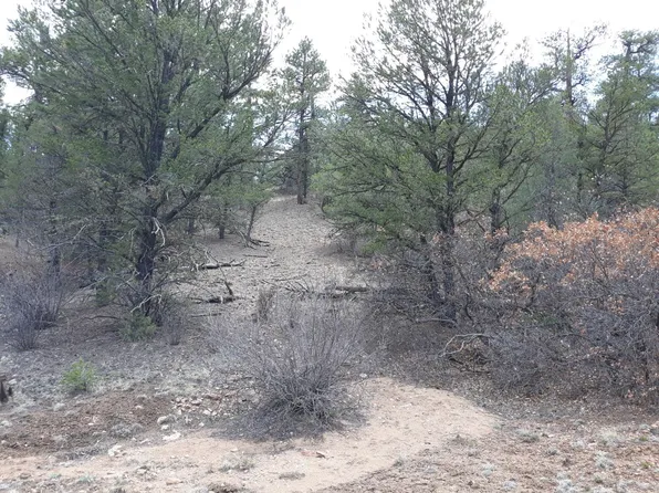 5th Trl, Cotopaxi, CO 81223