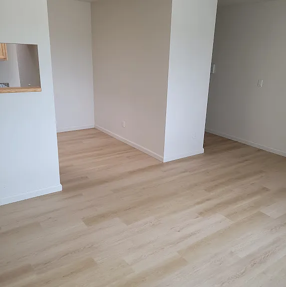 Living Room and Dining Area