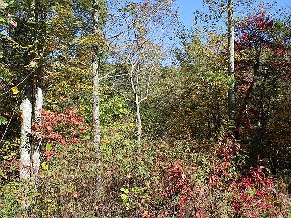 3rd image of LOT 27 Long Creek Preserve