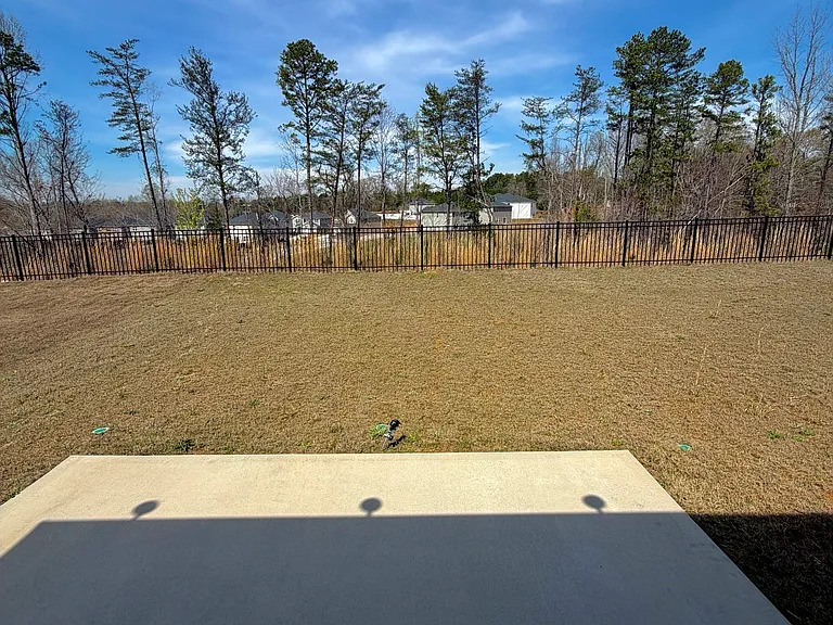 Backyard view
