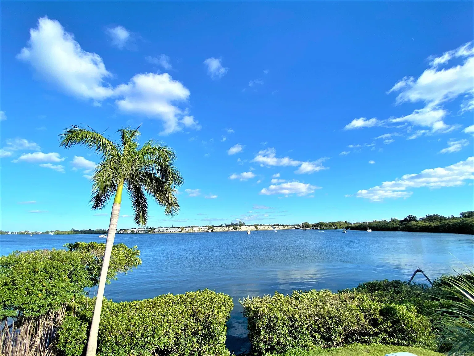 1 bed, 700 sqft, $1,725 — Photo 1