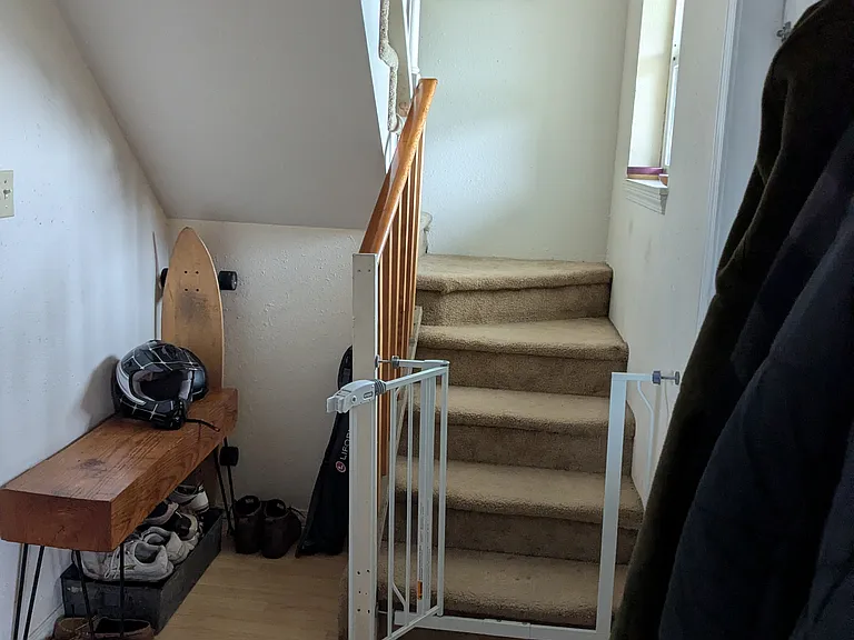 1207 Carolina St — Photo 22
