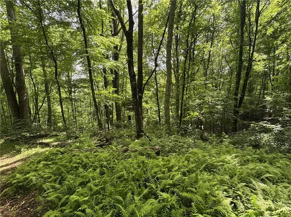 Lot 62 Man O War S, Vilas, NC 28692