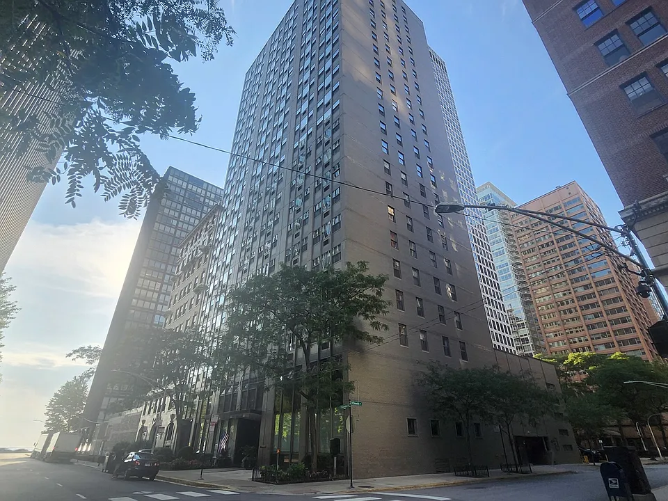 253 E Delaware Pl #20B