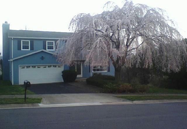 1st image of 103 Westwood Cir