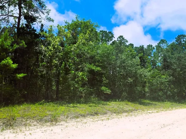 E Whitetail Dr, Perry, FL 32348