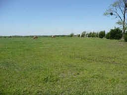 1st image of 7965 County Road 418
