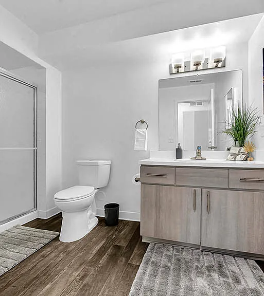 Renovated Bathroom