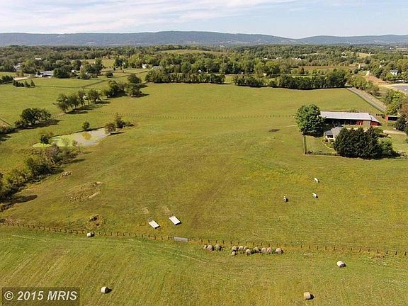 Views of Blue Ridge & bucolic setting