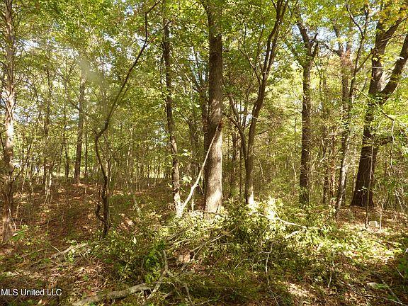5th image of 0 Dockery Dr #13