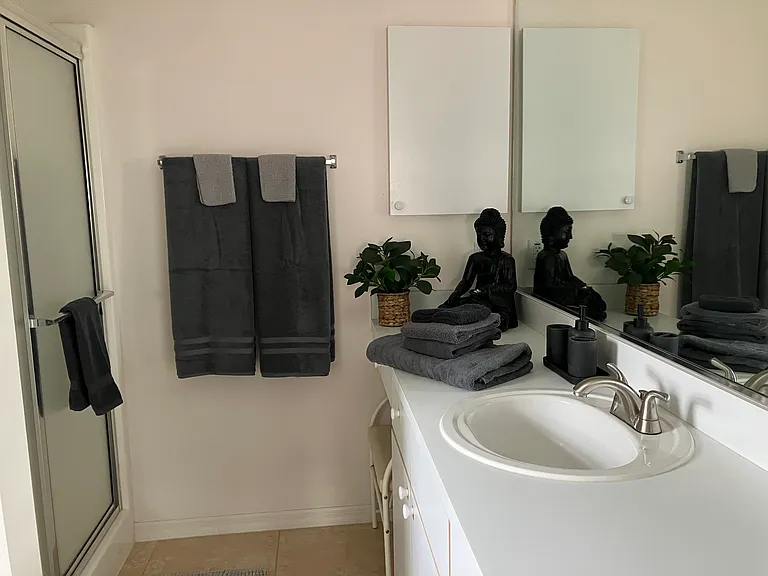 Primary bath with shower, vanity area and large linen closet.