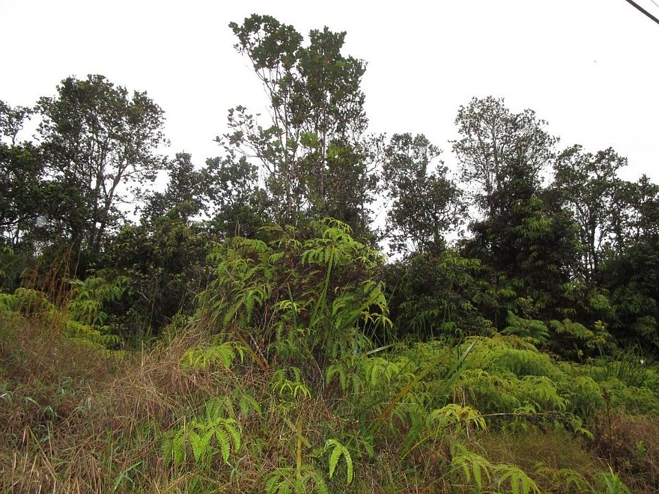 1st image of Nahelenani St Lot 53-B