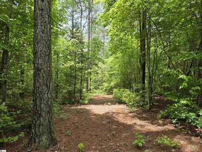 8 Belk Rd, Travelers Rest, SC, 29690