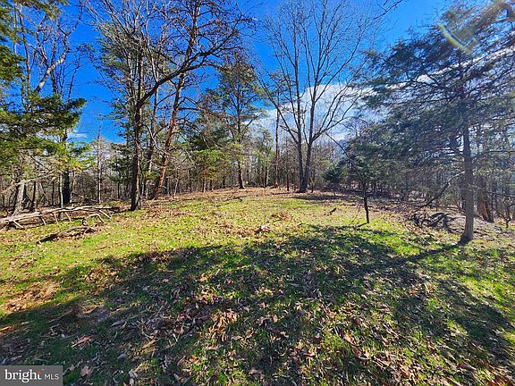 3rd image of LOT 24 Old Mountain Run Trl