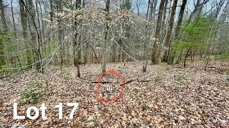 1st image of 17 Woods Haven Ln