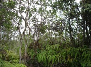 Road 4 Kea #IO, Mountain View, HI 96771