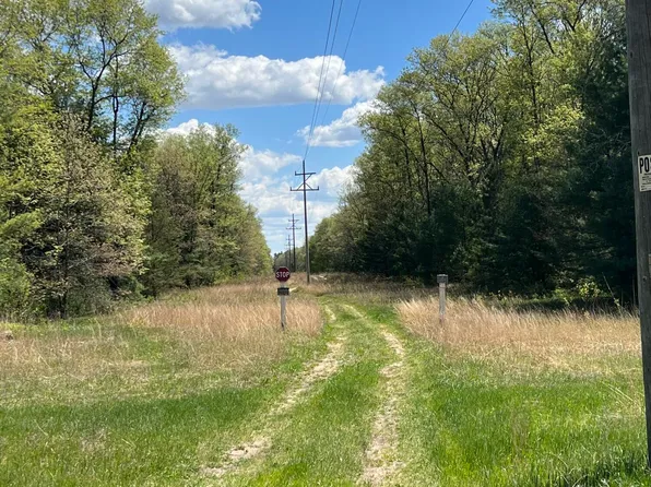 0 S Pine Ave, White Cloud, MI 49349