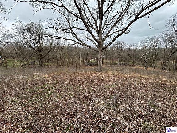 2nd image of 185 Rhodelia Rd