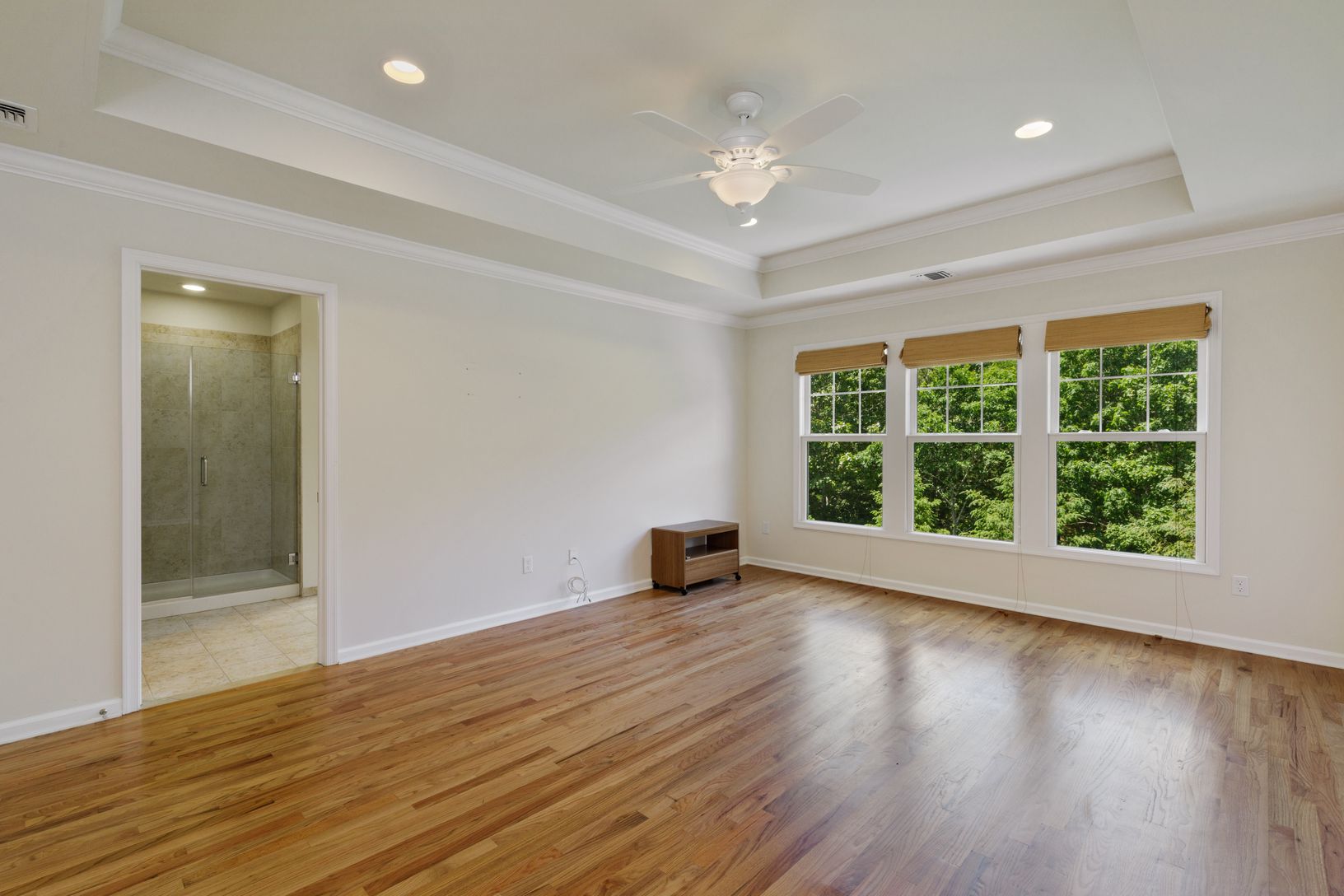  Spacious Master Bedroom With Tray Ceilings