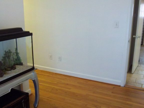 5th image of 535 Spotswood Ave
