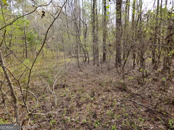 0 Us Hwy Tract 2, Musella, GA 31066