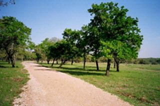 1st image of LOT-10B Vintage Oaks Dr