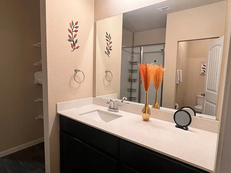 135 Cibolo Creek Dr — Photo 11
