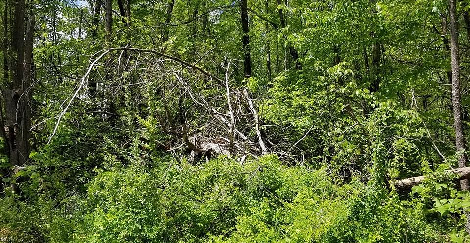 1st image of 2219 Nettlebrook Dr