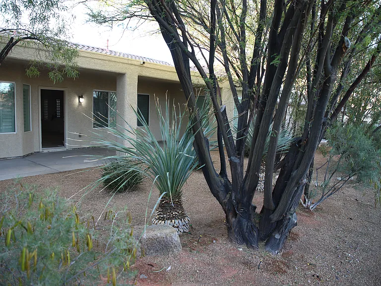 Backyard, patio area