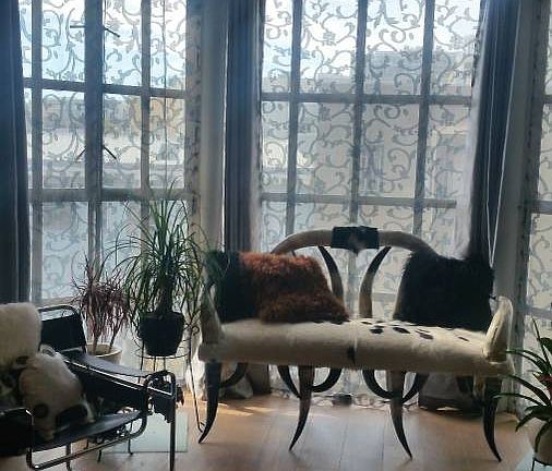 living room window