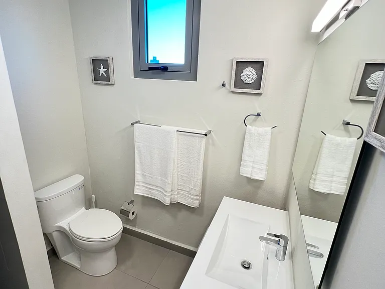 Master Suite Bathroom