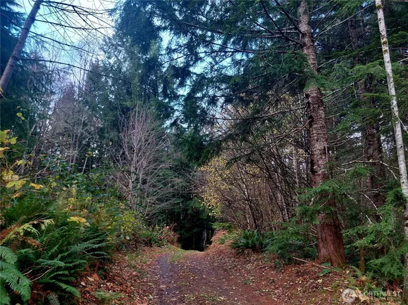 0 Lot 9 Old Barn Road, Randle, WA 98377