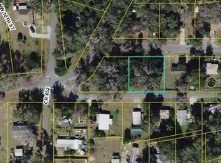 0 County Road 454 #9, Lake Panasoffkee, FL 33538